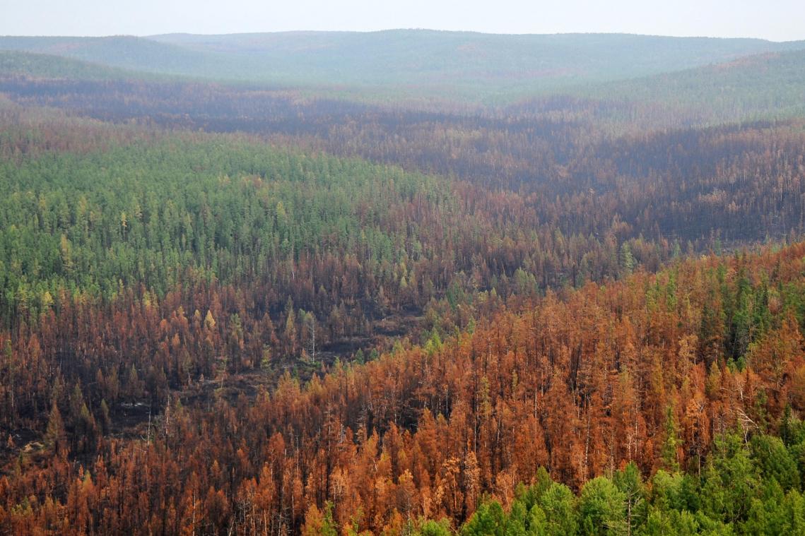 Siberië puft en kreunt: kwik klimt naar hoogste piek in 85 (!) jaar