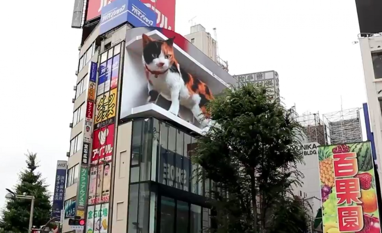 Indrukwekkend of creepy? Gigantische kat miauwt naar voorbijgangers in Tokio (video)