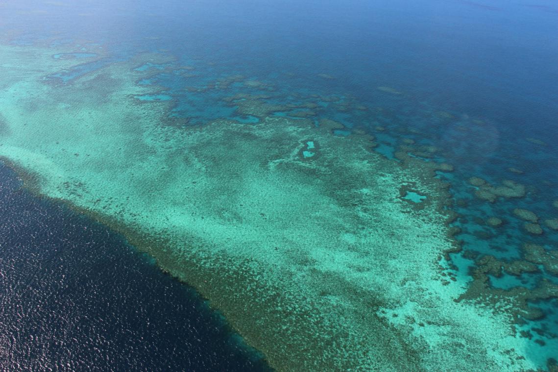Australië ziet rif niet als bedreigd en snorkelt met diplomaten