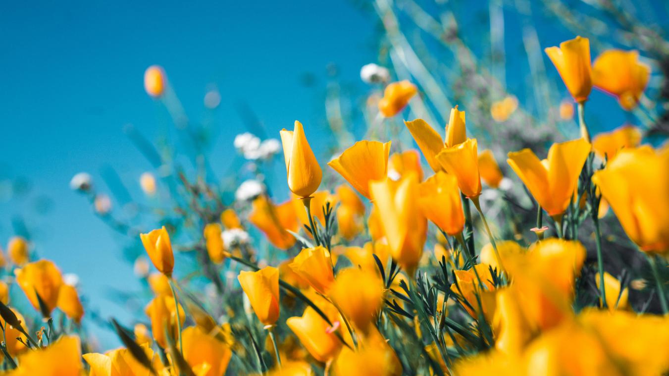 Laagste maximumtemperatuur voor een 17de augustus ooit gemeten