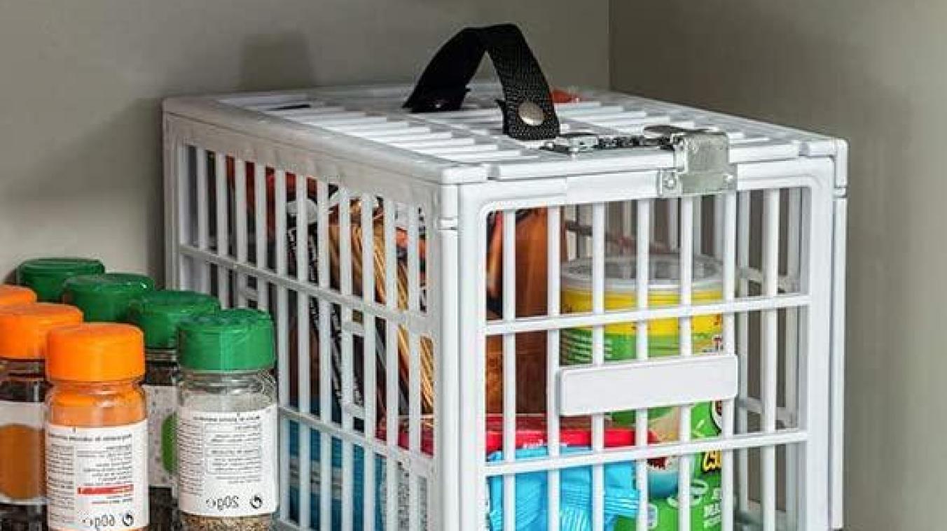 Dankzij deze ‘kluis’ voor je frigo zijn je pintjes voortaan altijd veilig