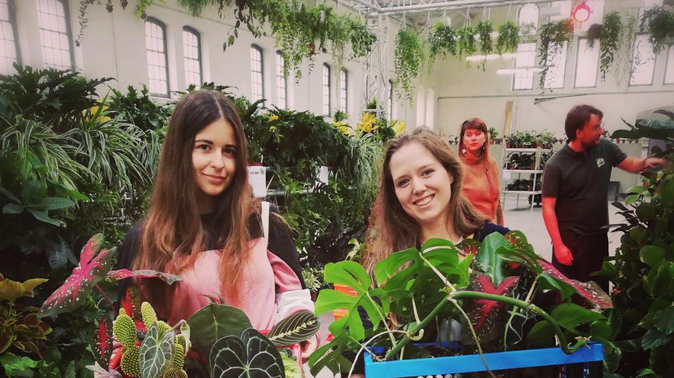 Urban jungle alert: PUP komt naar Brussel met 380 verschillende soorten planten