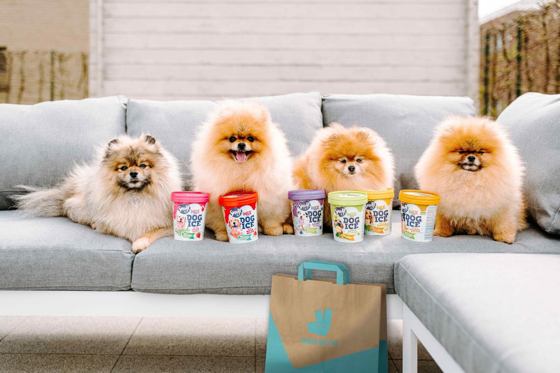 Bestel ijsjes voor... je hond