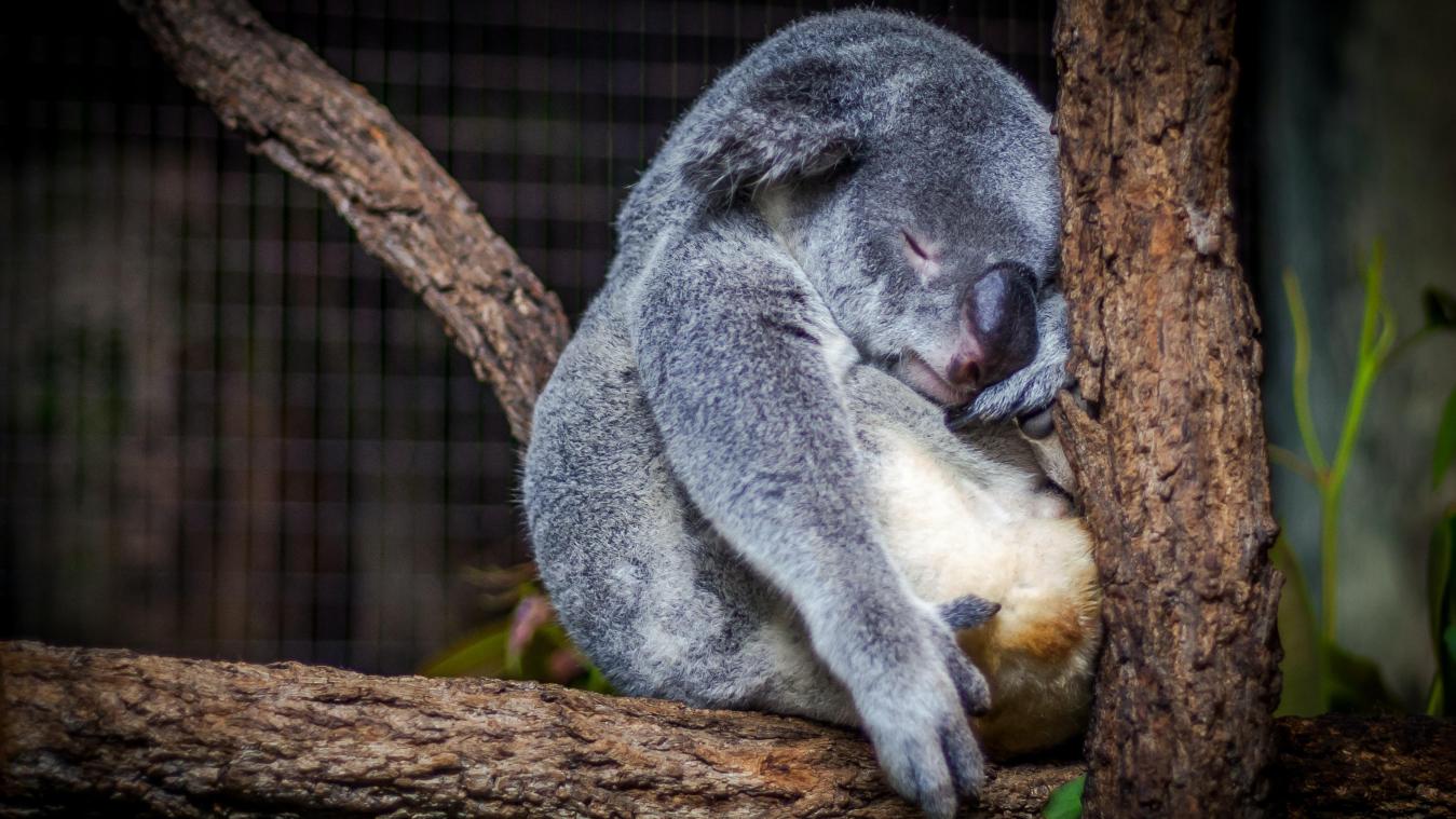 Dit zijn de voor- en nadelen van een powernap