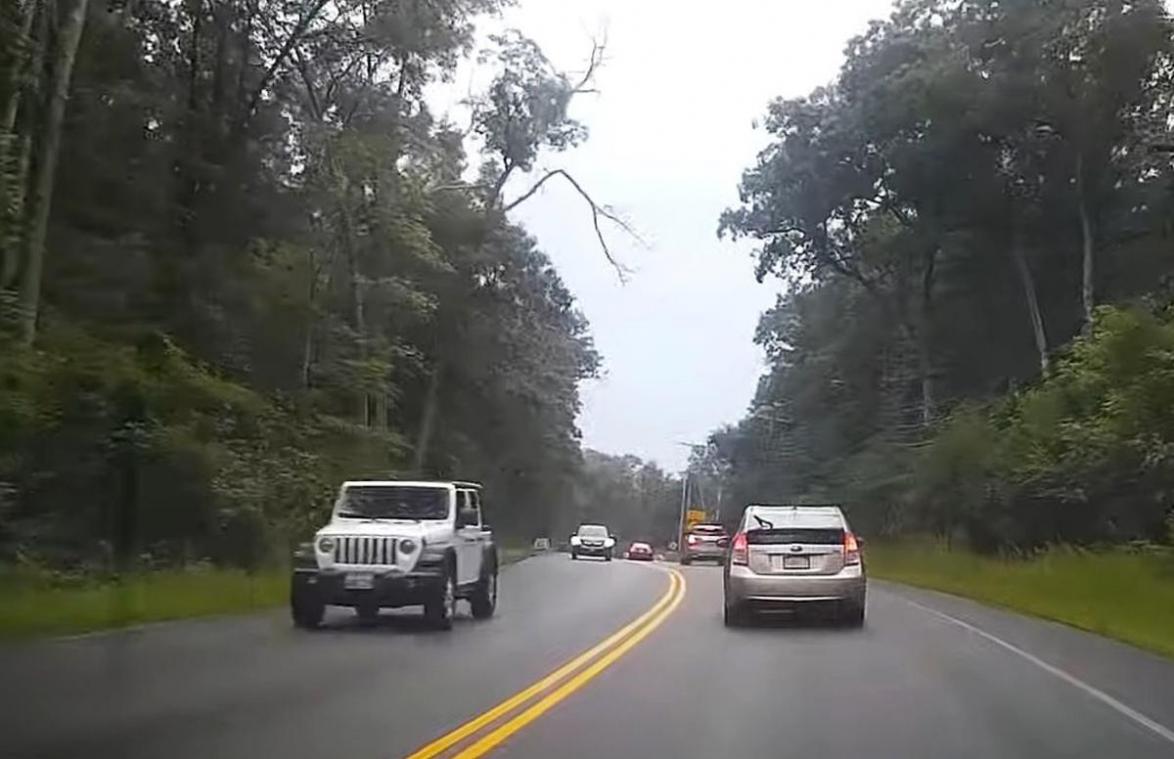 Bestuurder ziet hoe enorme tak van boom loskomt en op tegenligger smakt (video)