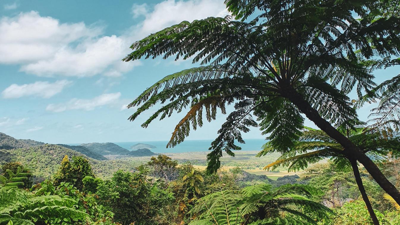 Aboriginals krijgen Daintree-regenwoud terug van Australische overheid