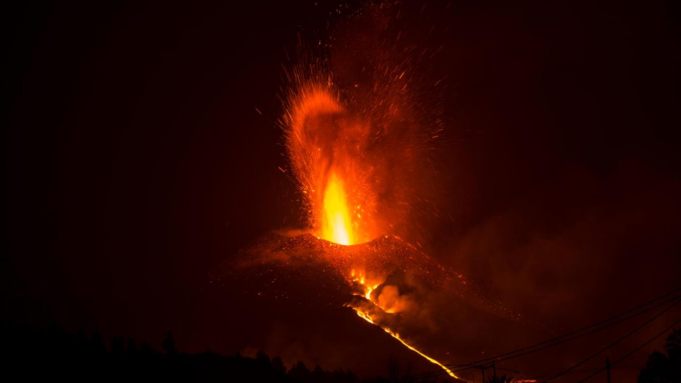 BIZAR. La Palma is 10 hectare gegroeid