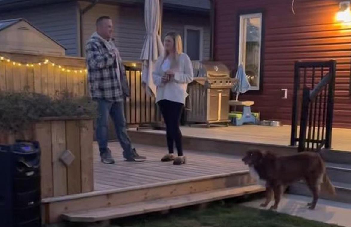Man vraagt vriendin ten huwelijk, maar dan doet hond DIT! (video)