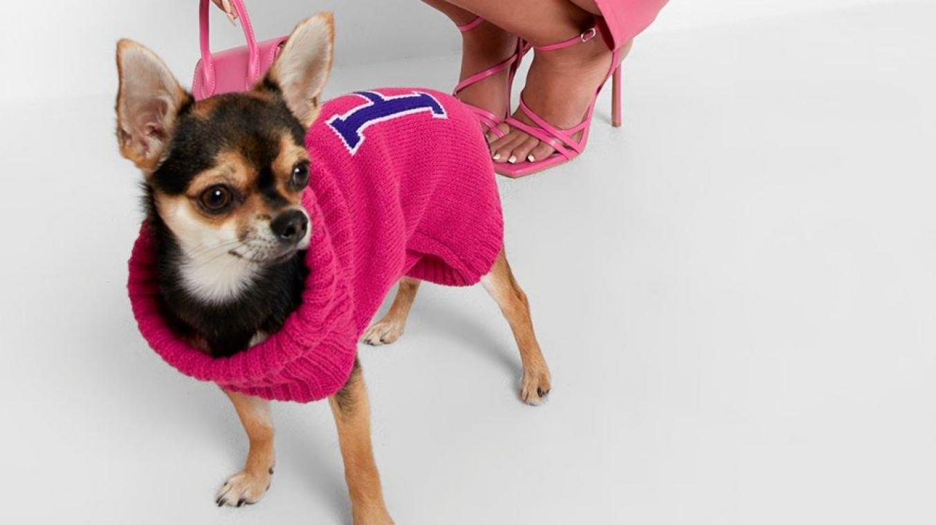 Matchen met je hond? Dat kan in deze Halloweenkostuums