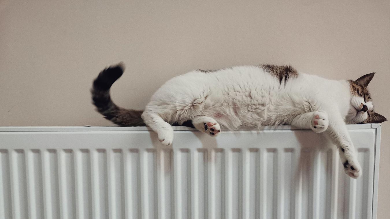 Acht tips om thuis energie te besparen
