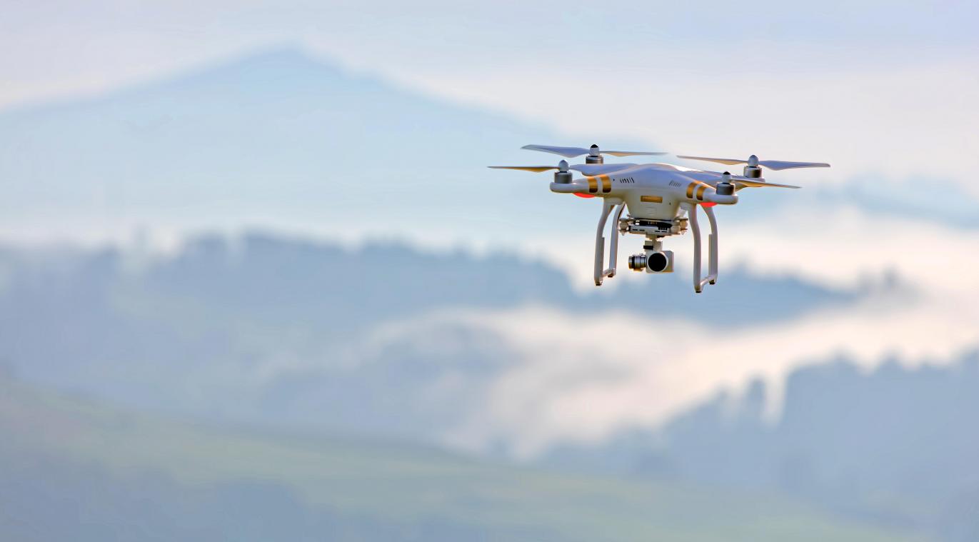OOH. Drones leveren eten aan noodlijdende honden op La Palma na vulkaanuitbarsting (video)