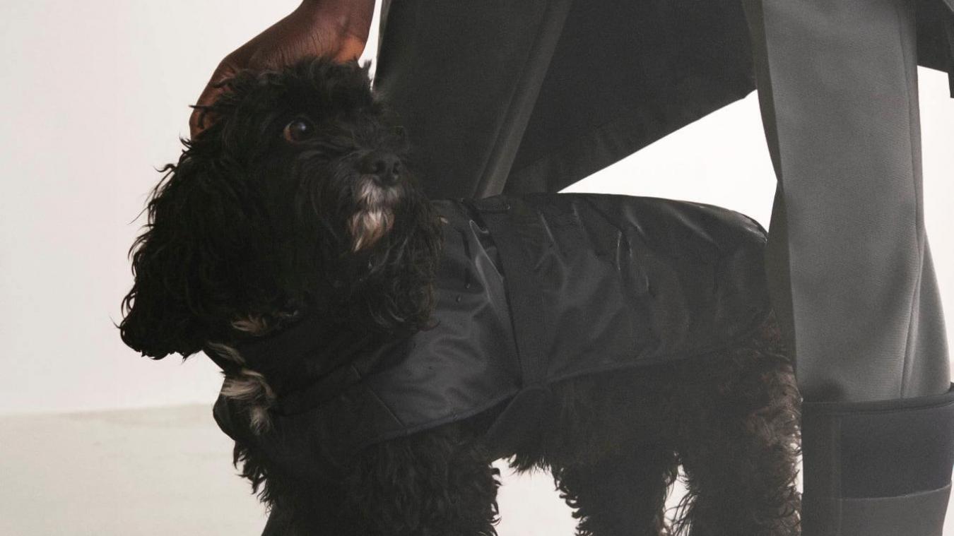 Dankzij deze keten kunnen jij, je gezin én je hond nu matchend door de regen ploeteren