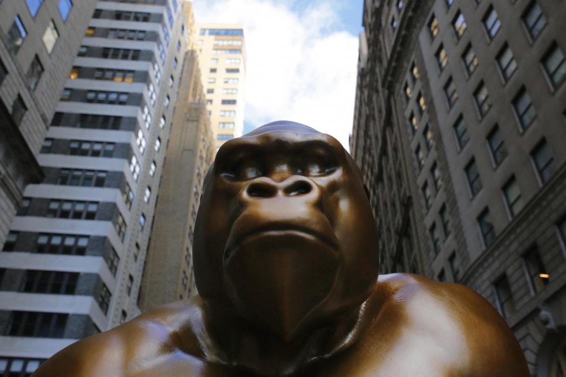 Twee meter hoog beeld van Harambe opgedoken in New York (foto’s)
