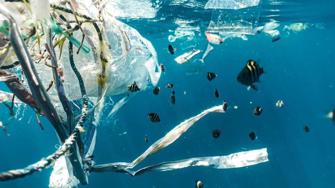 HOERA! Ocean Cleanup is helemaal klaar om plasticsoep op te ruimen