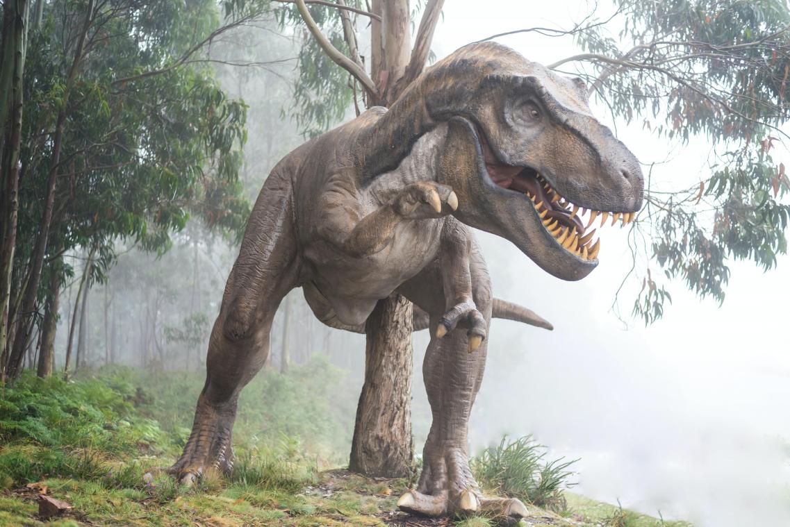 WOW. Ontdekking van honderd dino-eieren zorgt voor allereerste bewijs dat dino’s sociaal waren