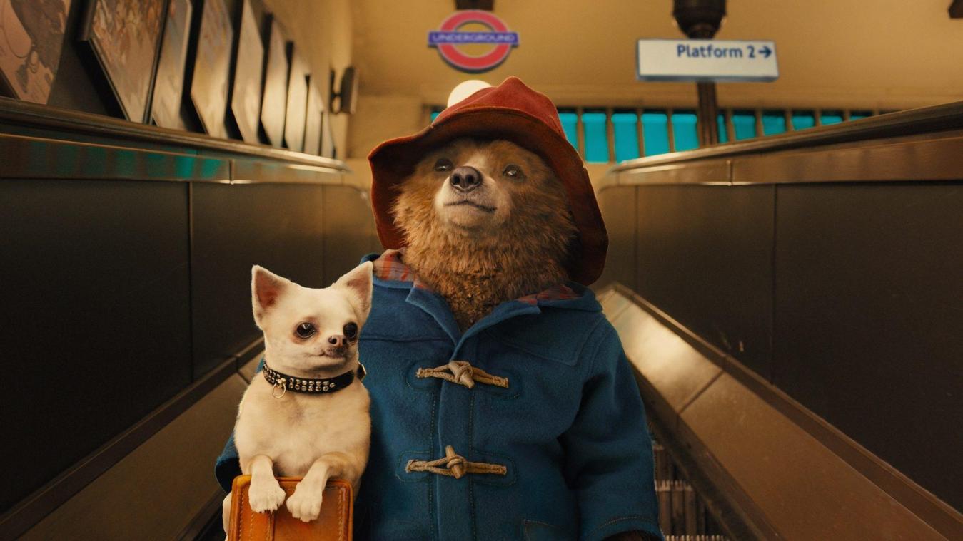 SCHATTIG! Deze man fotoshopt Beertje Paddington elke dag in een andere film