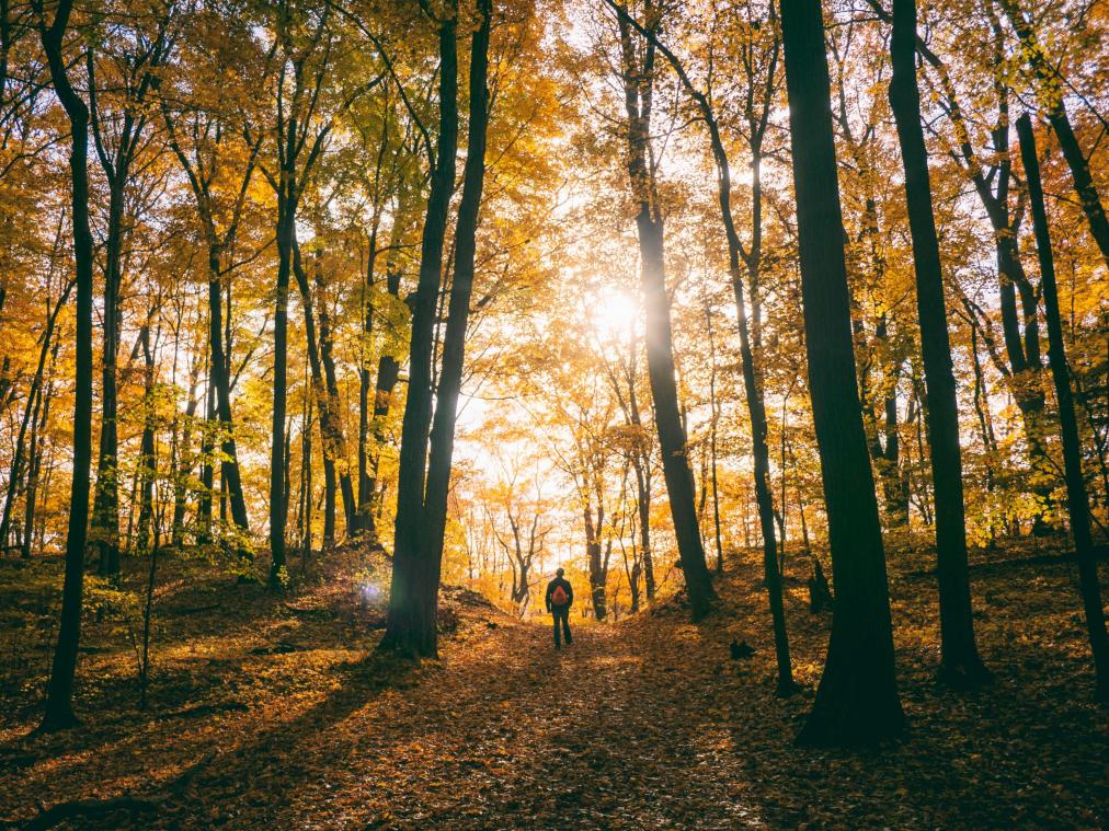 Drie prachtige herfstwandelingen die bereikbaar zijn met de trein