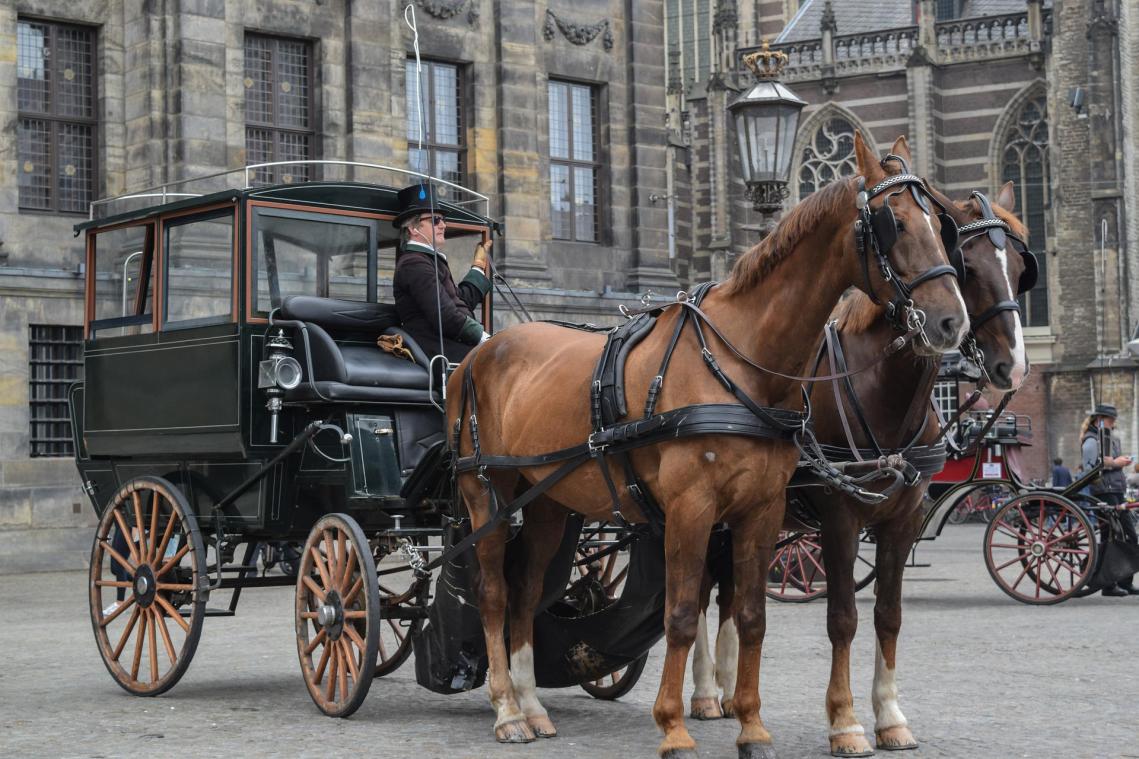 BIZAR. Gensters springen van wielen als paardenkoets al driftend uit bocht komt gescheurd (video)