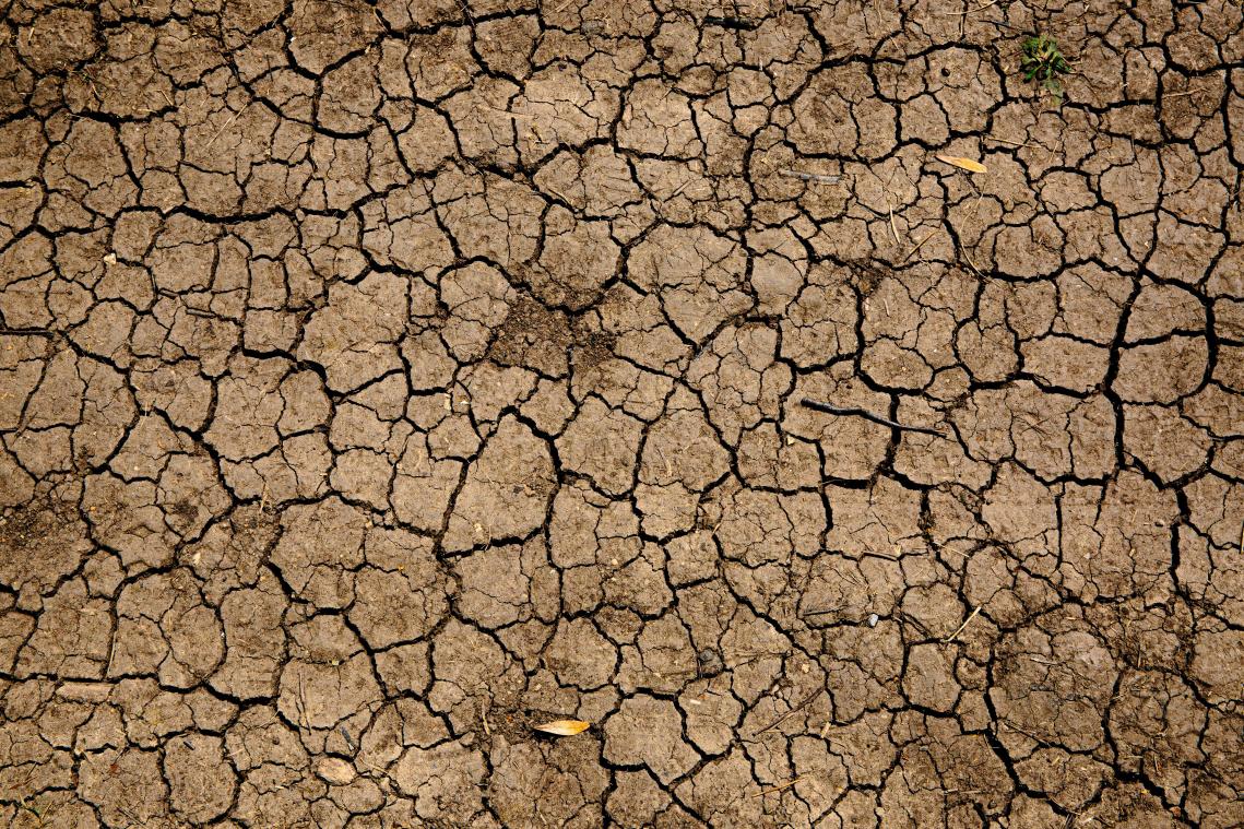 Slechts weinig mensen zijn écht bereid om hun levensstijl te veranderen voor een beter klimaat, wijst studie uit