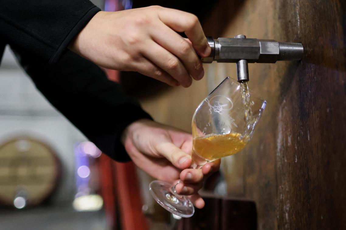 Deze Belgische bieren werden bekroond op de European Beer Star Awards