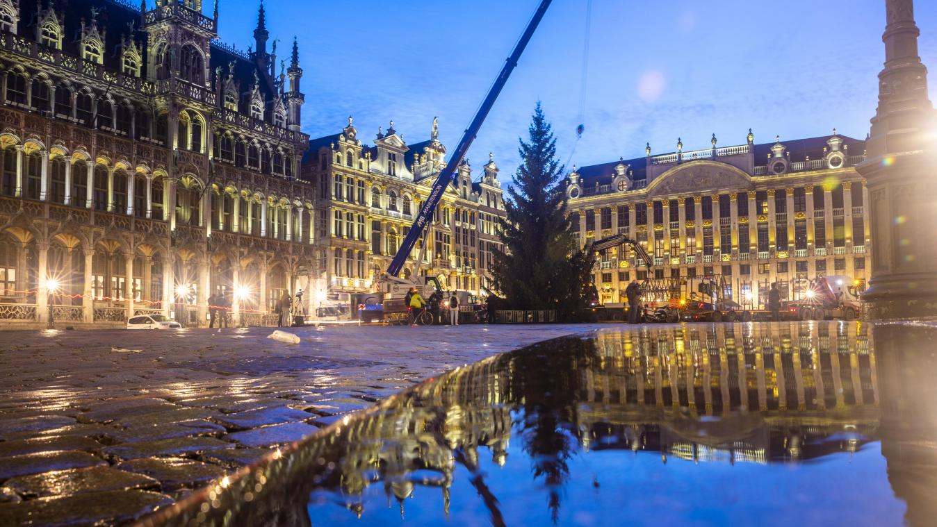 OH DENNEBOOM. Kerstboom uit Dilbeek pronkt op de Grote Markt