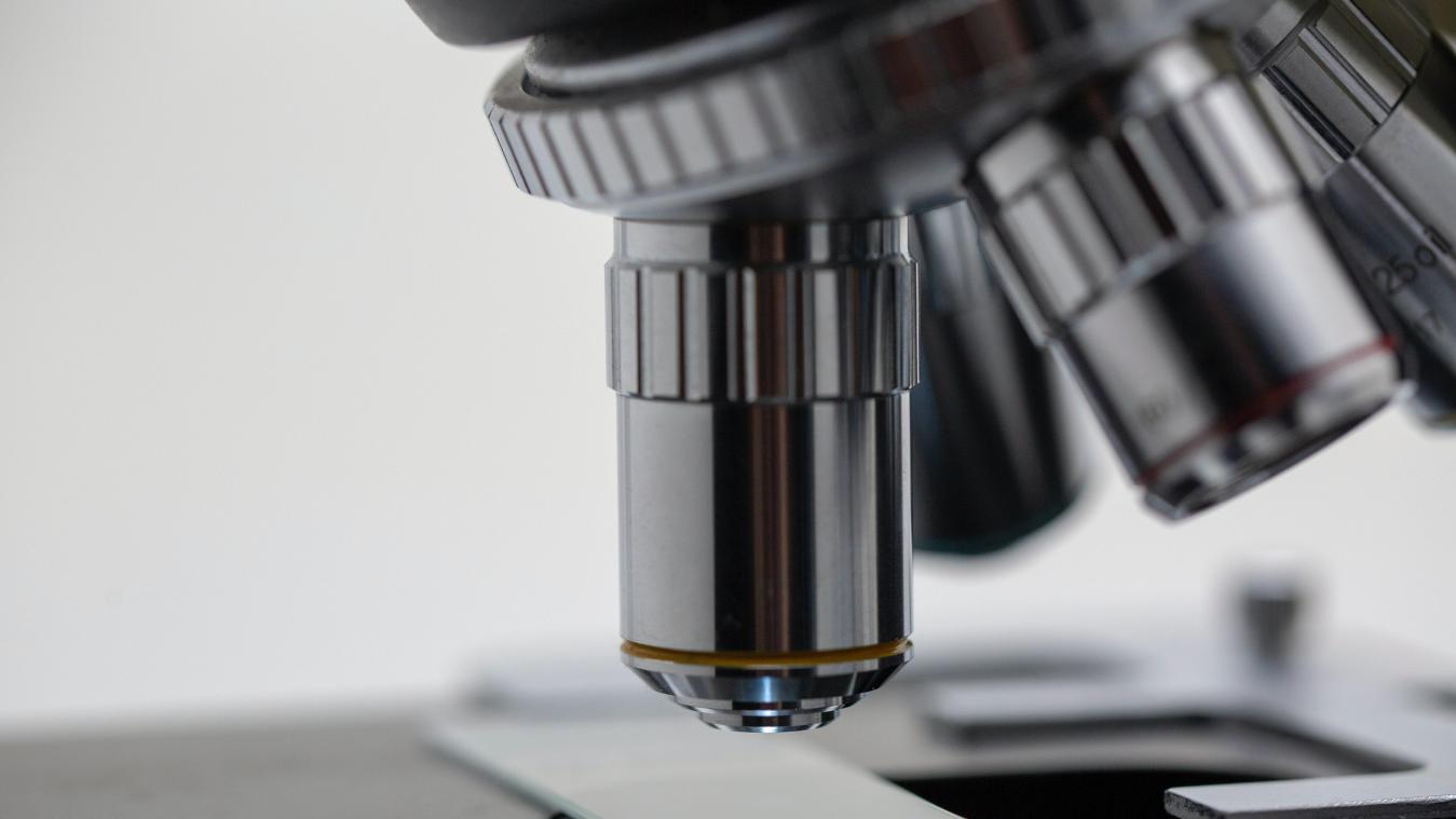 KU Leuven ontwikkelt test voor patiëntgerichte behandeling van eierstokkanker