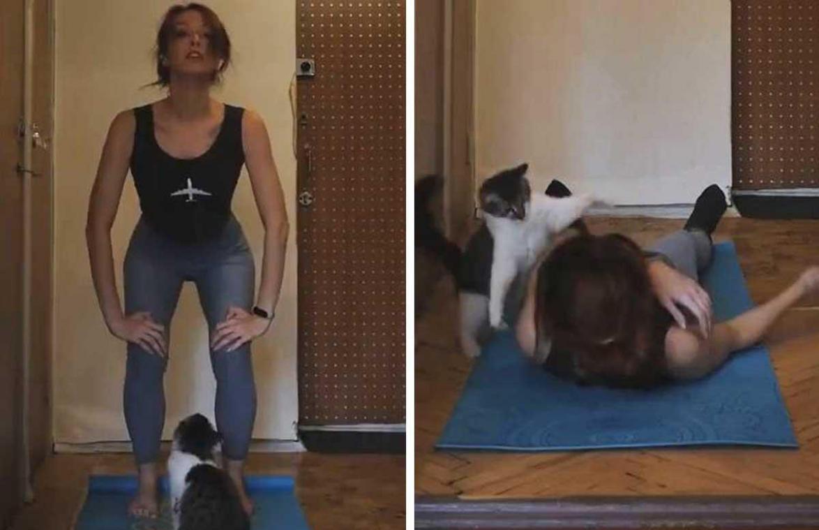 Vrouw doet yoga-oefeningen, maar kat is daar absoluut NIET mee gediend (video)