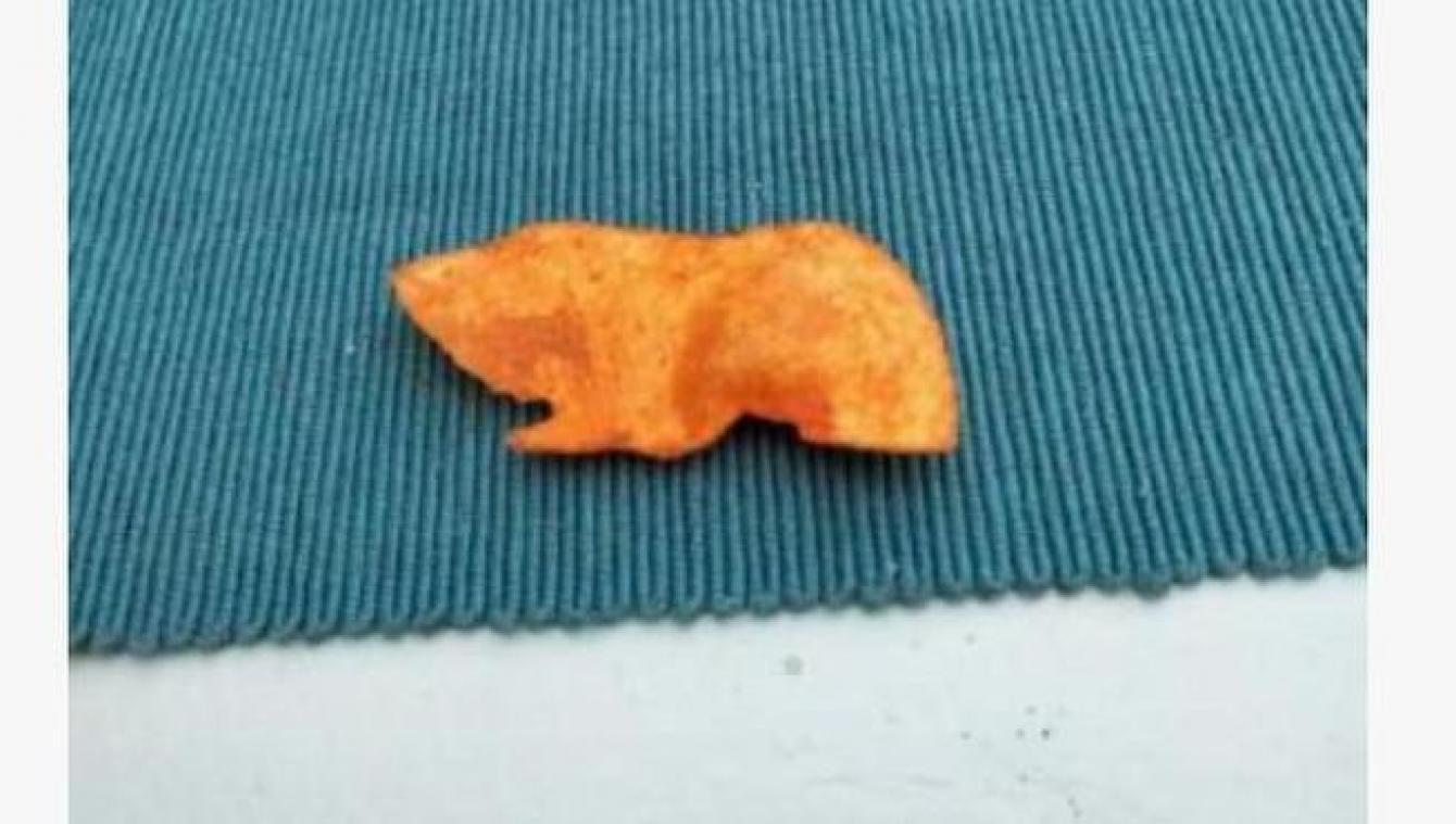 BIZAR. Chipje in de vorm van een cavia verkocht voor DIT absurde bedrag op Marktplaats