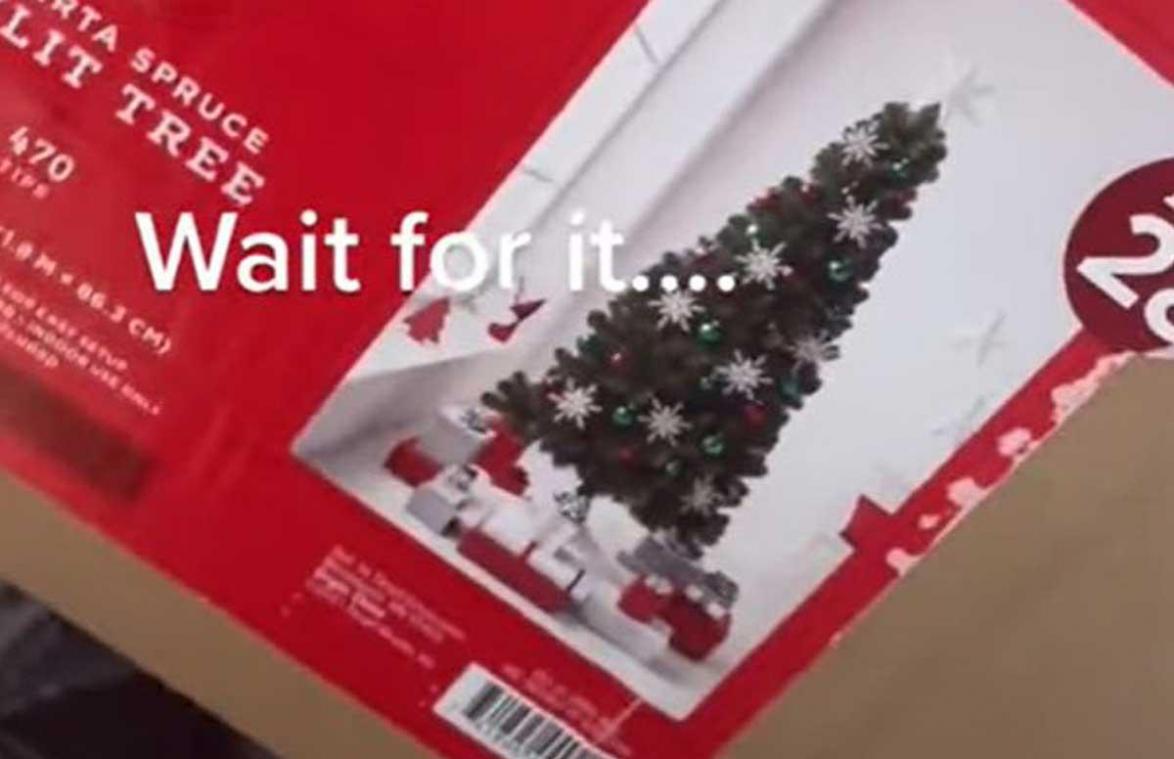 Vrouw bestelt prachtige kerstboom online, maar het resultaat is om te janken... (video)