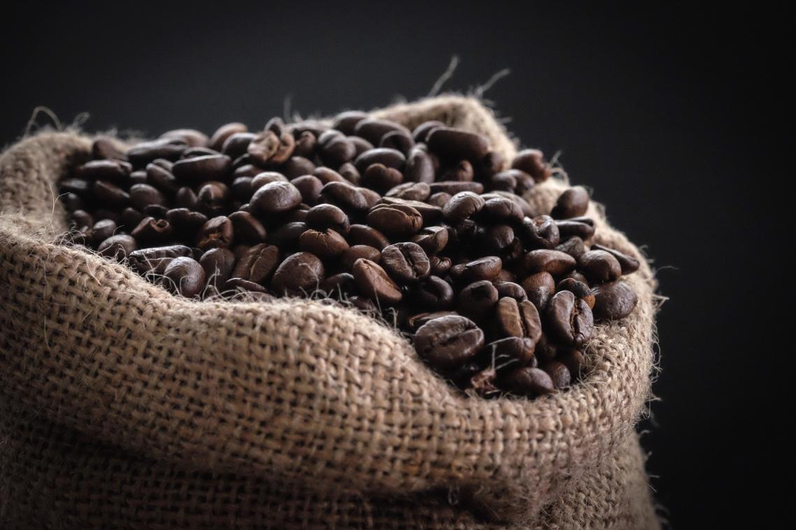 WOW. Plantentuin Meise vindt uitgestorven koffiesoort terug