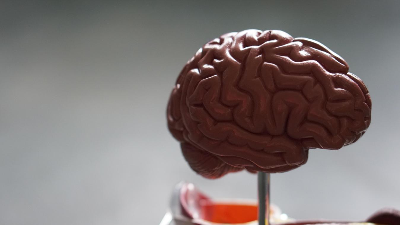 «Gehospitaliseerde coronapatiënten vertonen meer tekenen van hersenschade dan Alzheimerpatiënten»