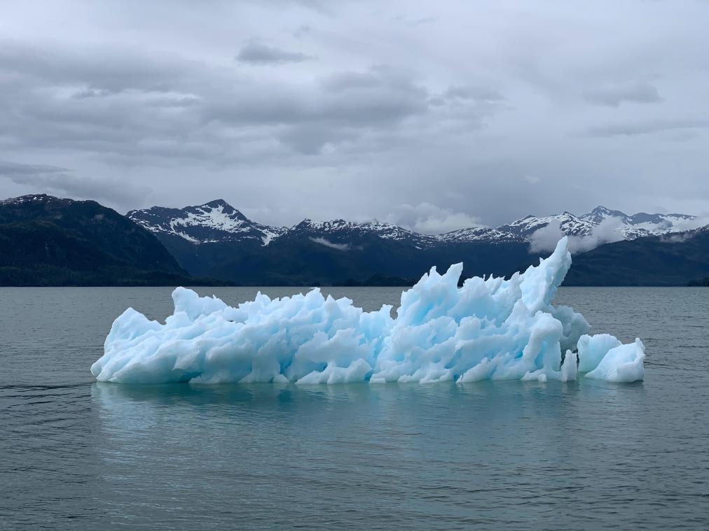 Nieuw onderzoek berekent hoeveel geld echt nodig is om wereld klimaatneutraal te maken
