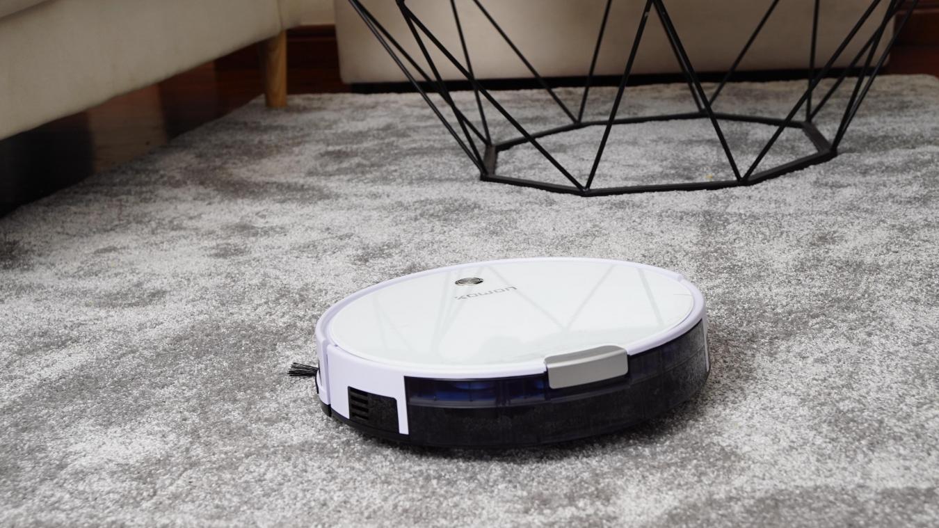 BIZAR. Het dolle verhaal van een robotstofzuiger die op avontuur trekt