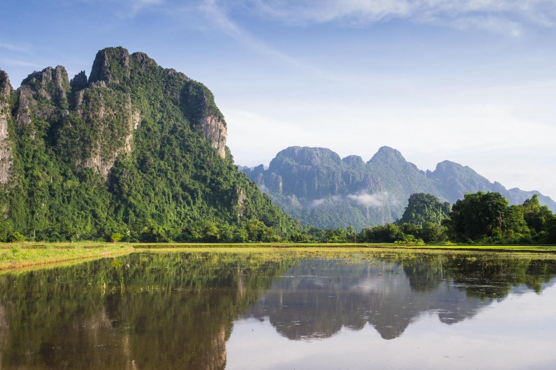 224 nieuwe plant- en diersoorten ontdekt in Mekong-regio, waaronder DIT schattige aapje (foto’s)