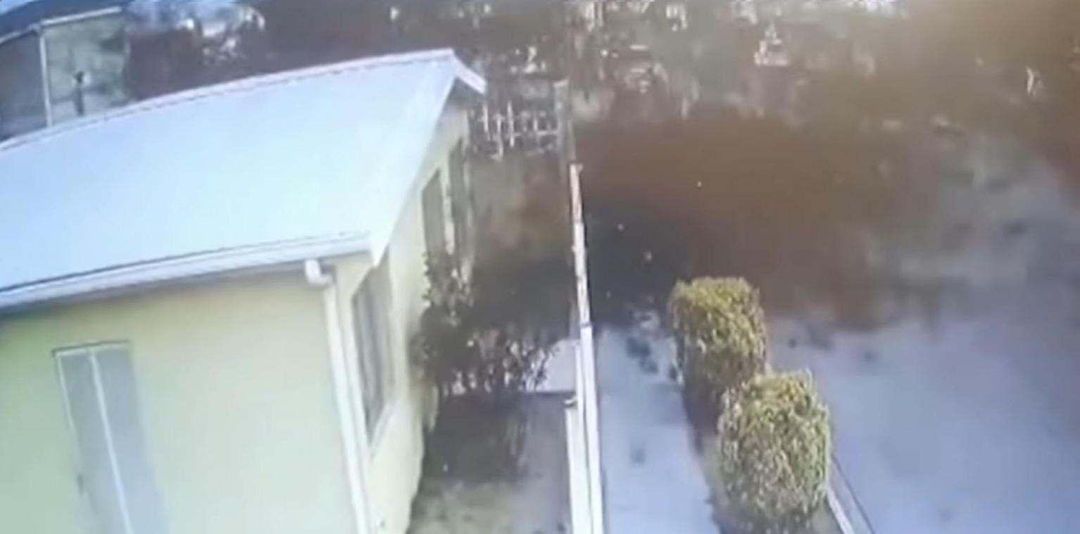 WTF. Gigantische zwerm vogels stort plotsklaps neer: Wetenschappers verklaren fenomeen (video)