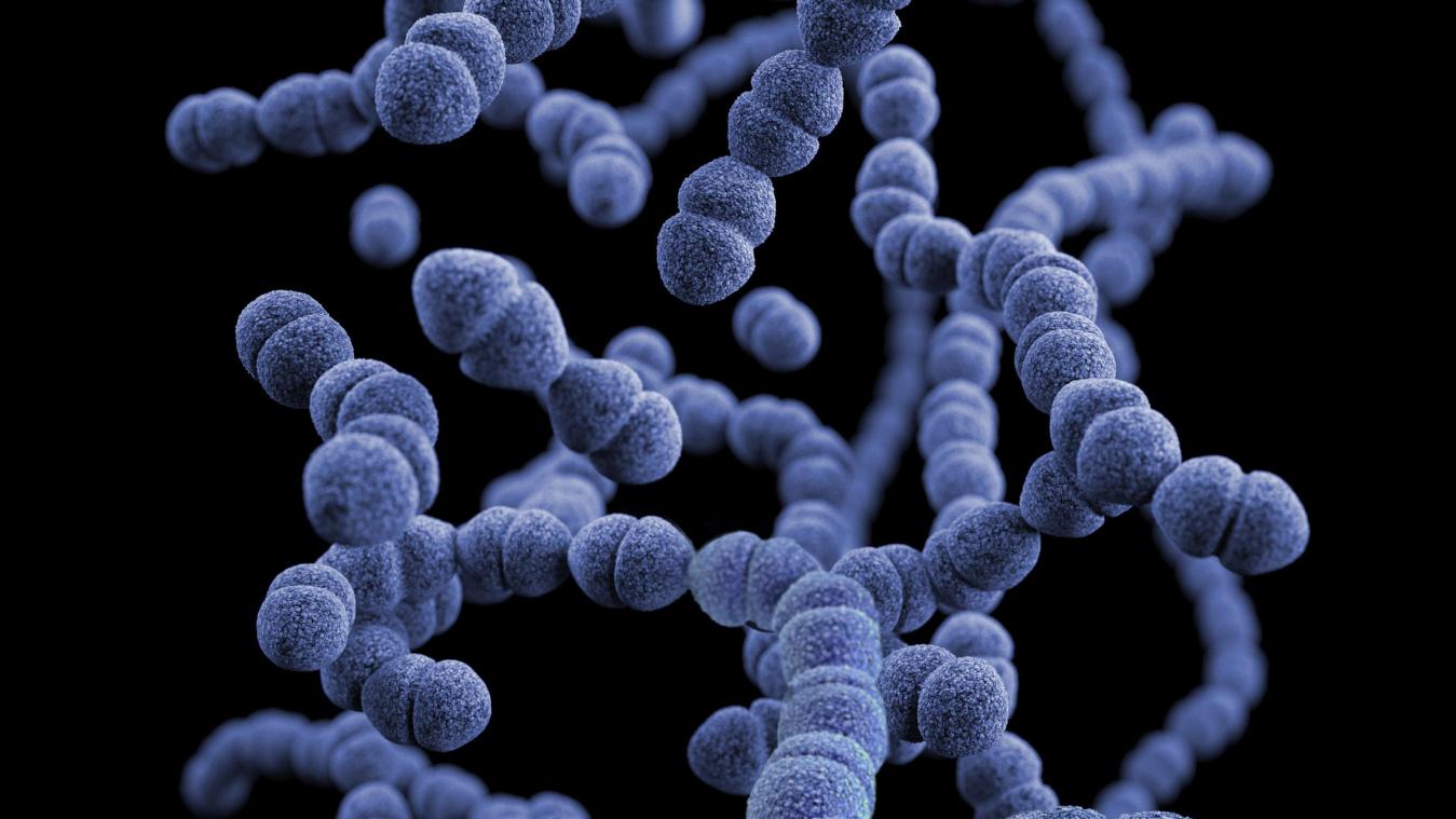 Nieuwe ontdekking in ‘slapende’ bacteriën kan antiobioticaresistentie tegengaan