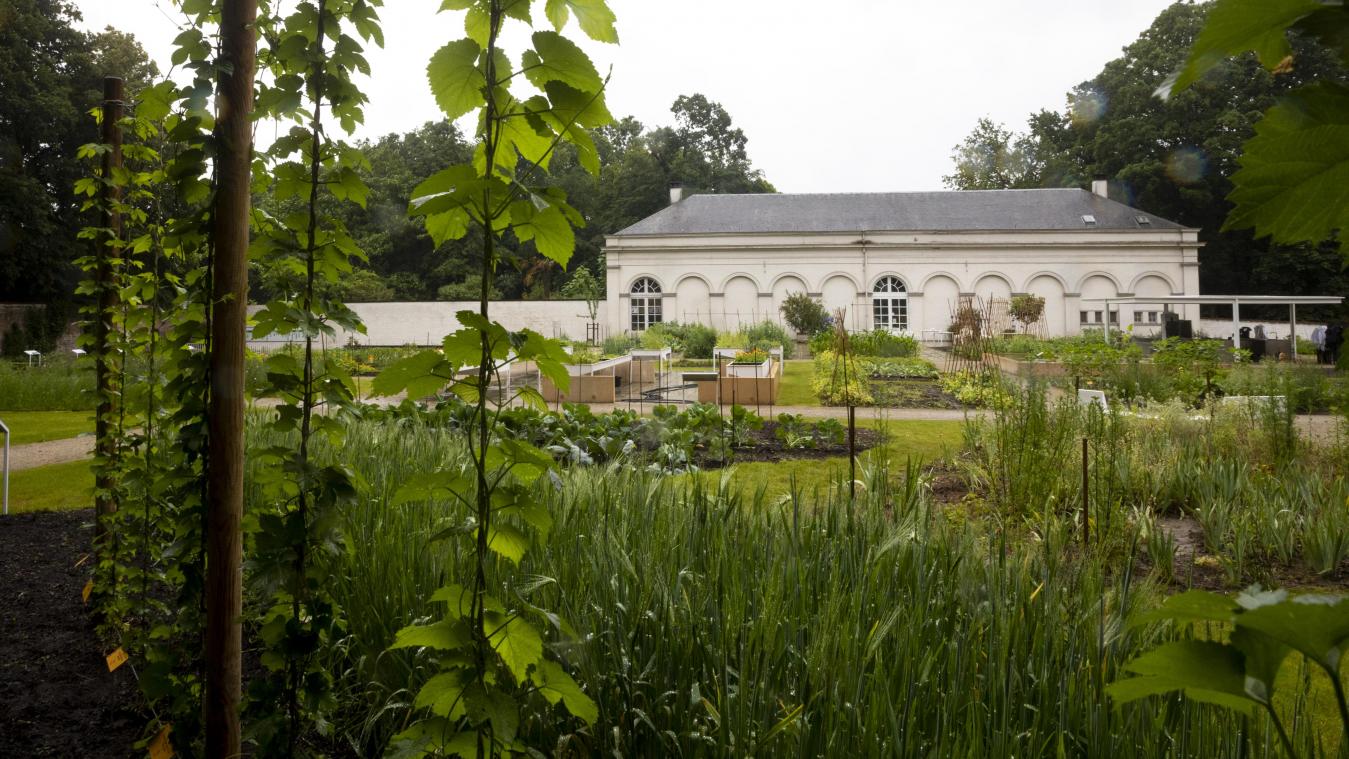 Plantentuin Meise bestaat 225 jaar: nieuwe expo werpt licht op de geschiedenis