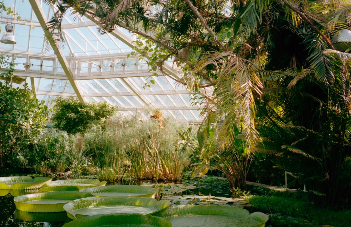 LENTEKRIEBELS. Drie plantentuinen om het verse groen in op te snuiven