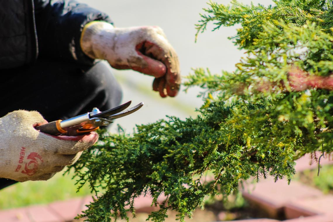 Natuurjob steeds vaker knelpuntberoep