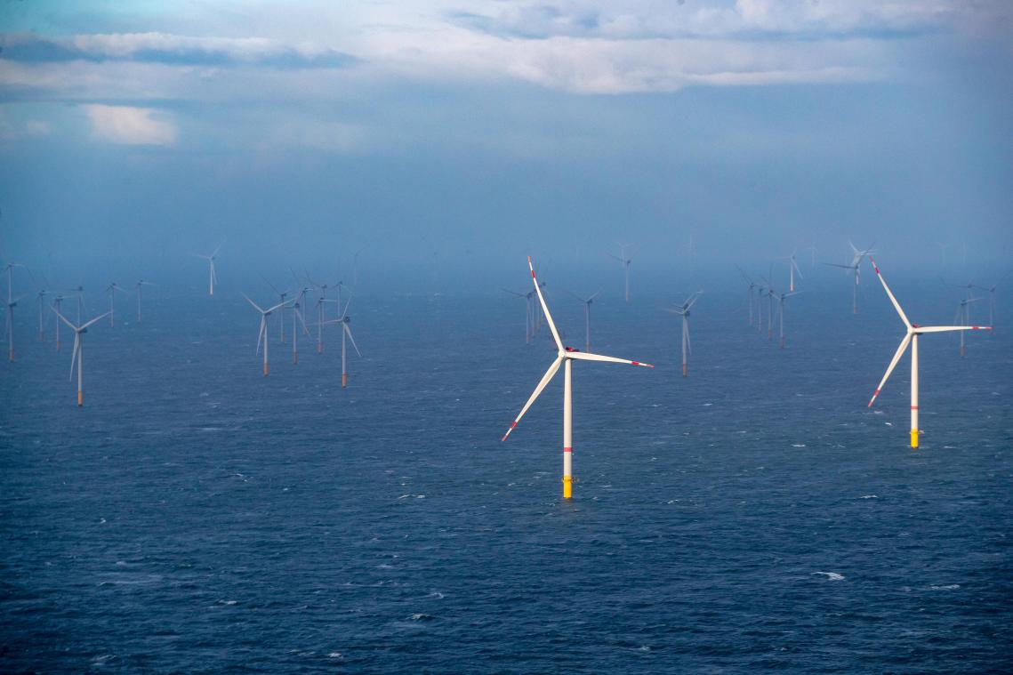 25 studies moeten Belgisch windmolenpark in natuurgebied mogelijk maken