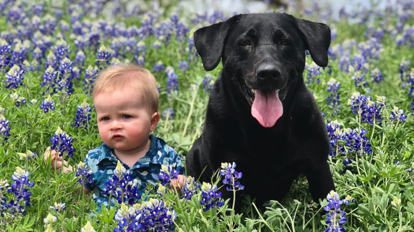 Hond in huis? Daar plukt je baby de voordelen van