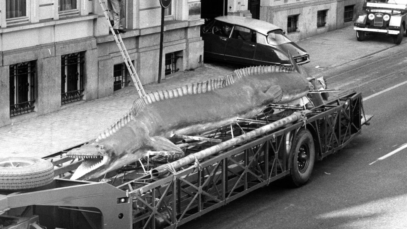 WOW. Steengroeves in Maastricht dateren uit laatste tijdperk van dinosauriërs