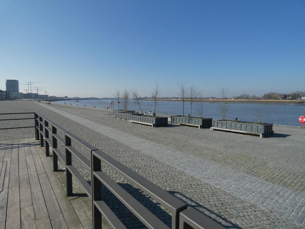 Kaaien aan Antwerps Nieuw Zuid krijgen park met uitkijkpunt en «waterbos»