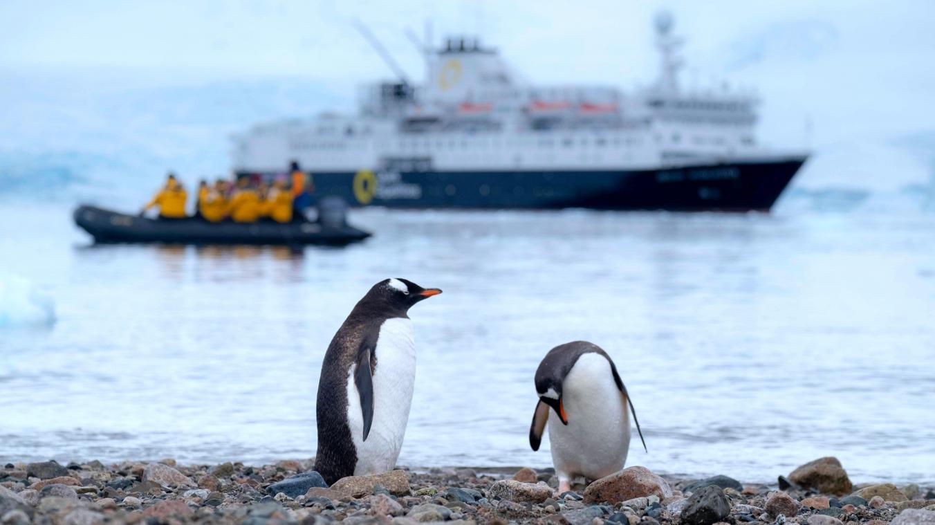Op zoek naar een job? Antarctica’s postkantoor zoekt personeel!