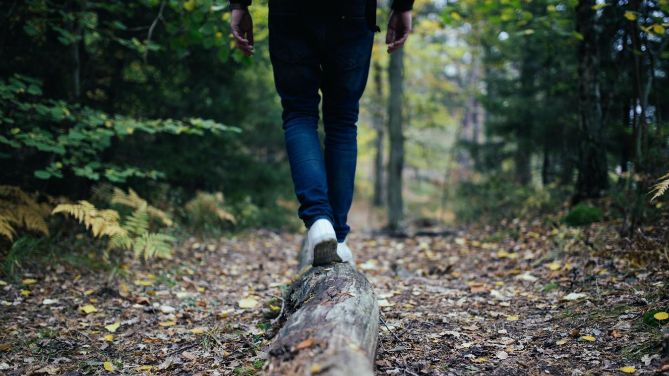 De beste wandelroute van de Benelux is eindelijk bekend