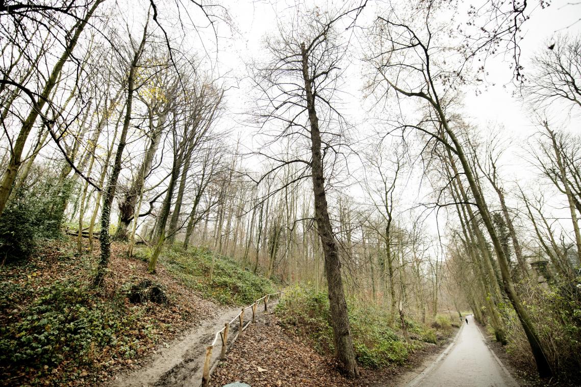 Tweede mesaanval op twee dagen in Dudenpark: «Gelukkig ken ik wat van gevechtssport»