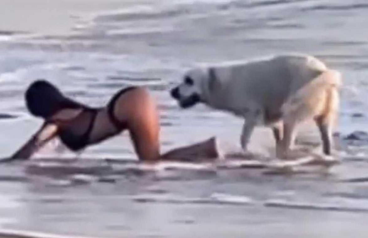 Influencer poseert sensueel aan zee, maar dan doet hond DIT! (video)