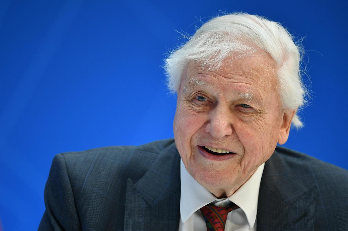 David Attenborough krijgt onderscheiding van de Verenigde Naties