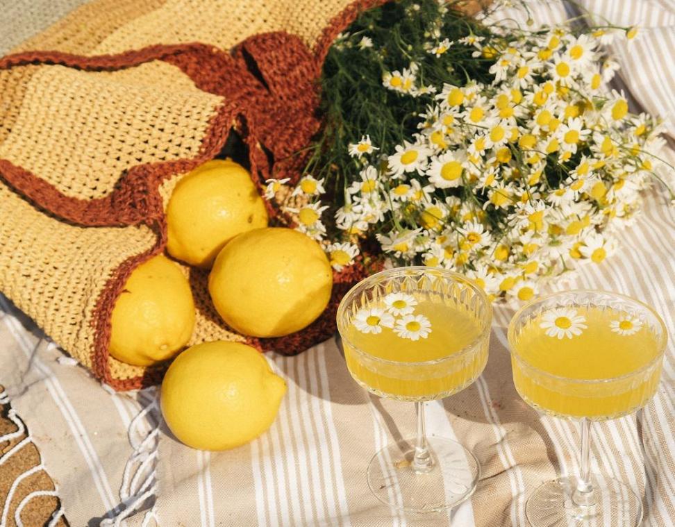 ECO & CO. Koken met madeliefjes uit eigen tuin