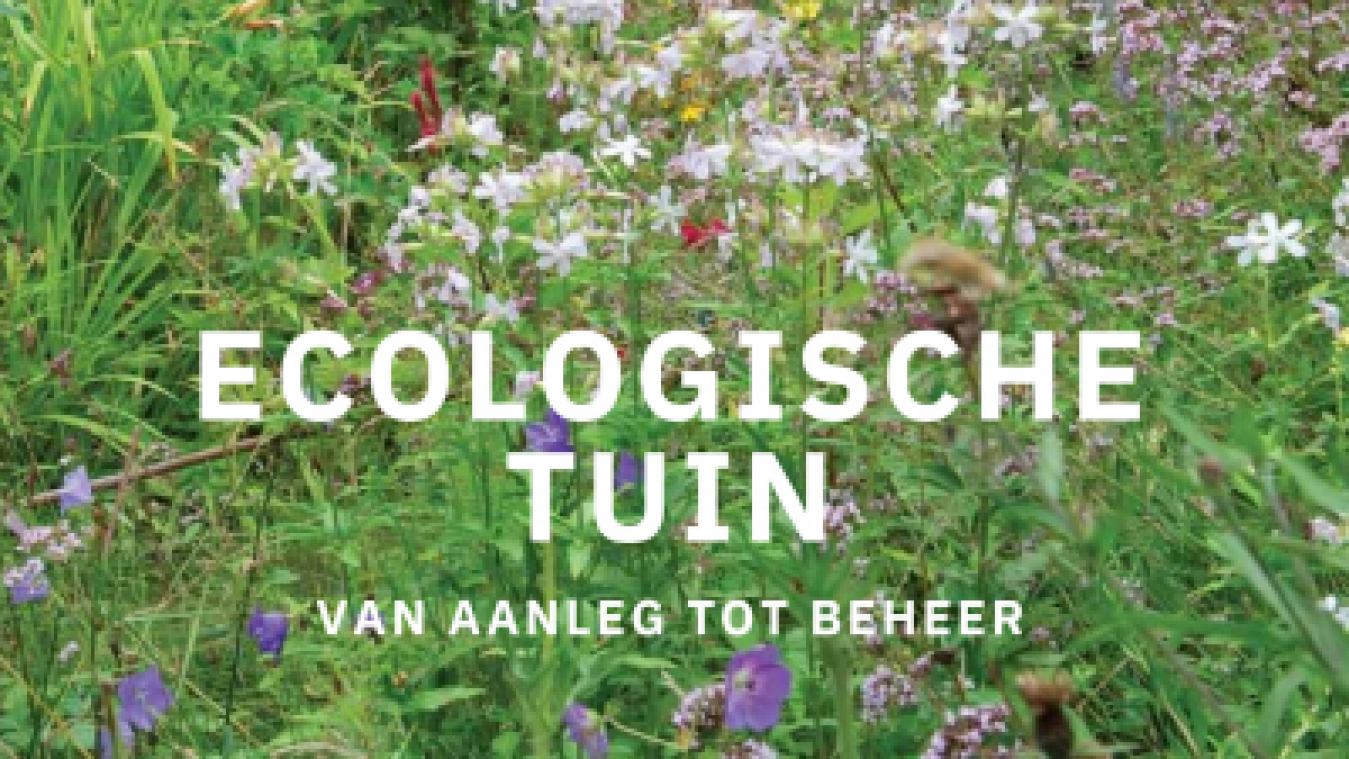 Een ecologische tuin aanleggen, hoe doe je dat?